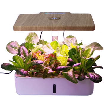 新款菜多多智能种植机水培水耕蔬菜家庭室内无土栽培设备芽苗菜种植箱