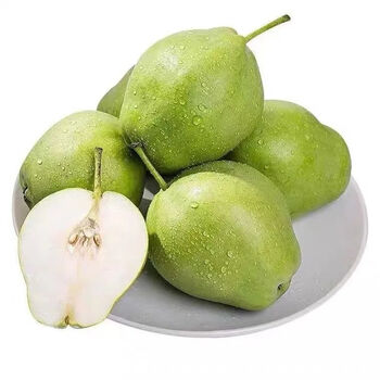 现货现摘现发早酥梨应季新鲜水果脆甜薄皮多汁青梨 5斤精选装