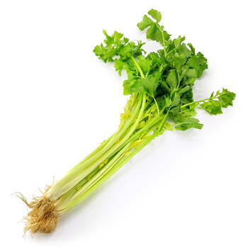 范德嘉 毛芹菜 1000g 甘南