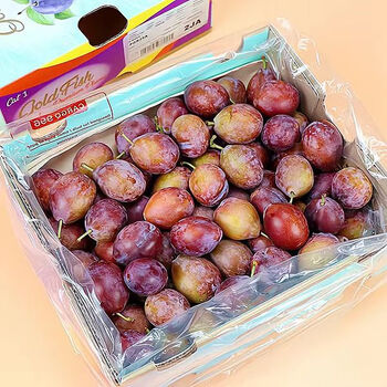 曲迪智利进口新鲜西梅鲜果新鲜水果李子当季时令孕妇水果5斤单果2528