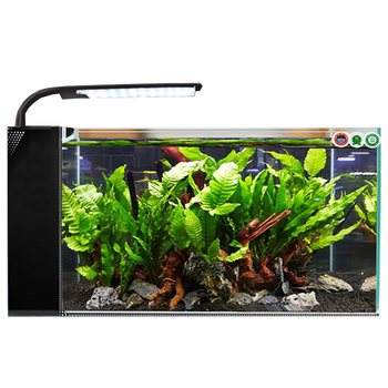 详实评测：燕之雁超白玻璃生态鱼缸Y60的质量和性价比分析