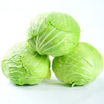 云南新鲜绿甘蓝3斤/5斤 农家卷心沙拉椰菜莲花白包菜青蔬菜 5斤