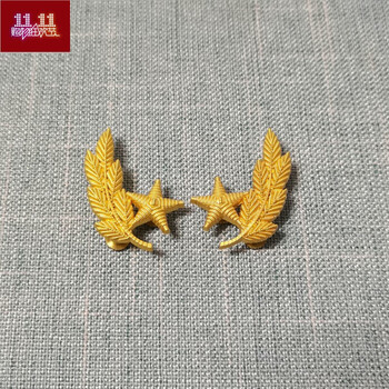 【当季精选】青春无悔领花橄榄枝松枝叶领花装春秋夏领花手链纪念品兵