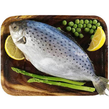 特大号新鲜雪花鲳鱼南极鲳鱼鲜活冷冻2斤约34条斤新货大号