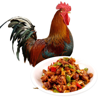 今日带货：精工x街霸 联名款手表