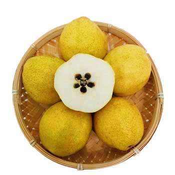 zxc河北鸭广梨渣子梨 新鲜鸭儿广梨疙瘩梨 水果 5斤大果