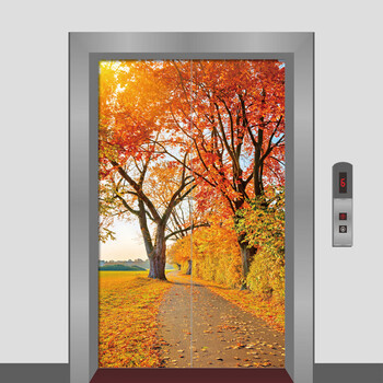 电梯门装饰贴纸贴画风景画入户现代简约墙贴自粘可移保护膜 深秋枫林