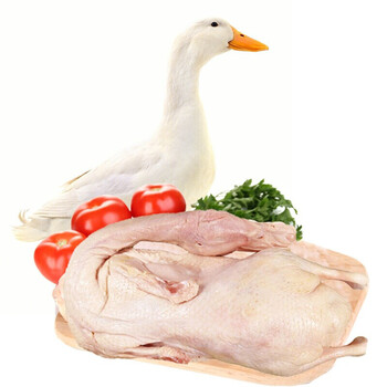 海龙康 新鲜鸭子1kg/只 1只