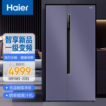 海尔（Haier）646升智享系列双变频一级能效无霜对开门智能冰箱净味嵌入双开门BCD-646WLHSS9EN9U1