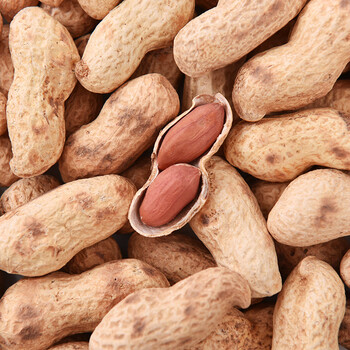 农家铁锅炒花生带壳熟花生原味炒花生零食坚果炒货 原味小珍珠花生1斤