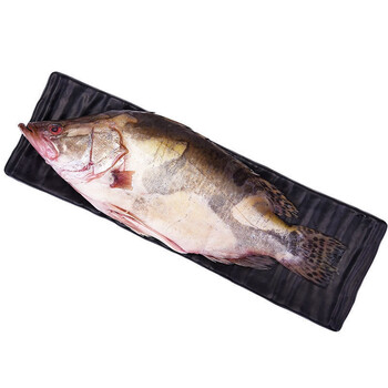 富铭士臭鳜鱼臭桂鱼安徽黄山特产徽州活鱼腌制真空111斤2条