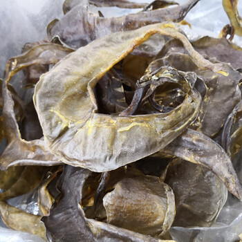 甲鱼裙边干团鱼脚鱼背甲鳖裙纯淡干货龟板水鱼甲鱼干货250g