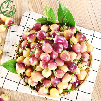 现摘广西七彩椒新鲜辣椒5斤蔬菜五彩椒泡椒小灯笼椒米椒特产3斤