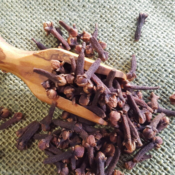 spices 丁香香料卤料丁香茶奶茶调料公丁香粒100g cloves lavange