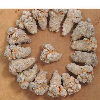 云南三七头精选37春三七主根春正宗田七足干 40头半斤20个250克