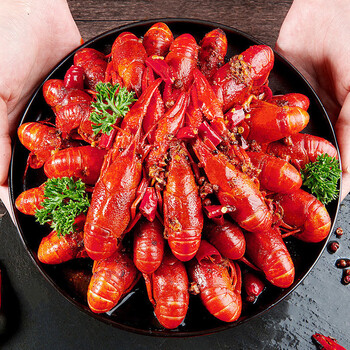 渔和苑24年精选稻田清水小龙虾鲜活小龙虾液氮速冻批发3盒6斤 液氮