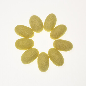 可狄 2022款茧天然彩色蚕茧- 金色10个 完整