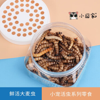 小囧家品牌鼠类用品-销量走势、多样选择、高质量