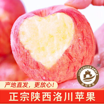 富百果业洛川苹果洛川红富士苹果2023年新果新鲜采摘现摘现发新鲜苹果水果 净重4.5-5斤中大果【75-80mm】