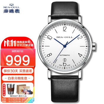 海鸥（SEAGULL）手表男士自动机械表 男表送男友礼物 包豪斯日历腕表819.17.6091