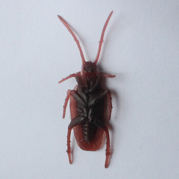 漫翔 愚人节整蛊玩具 恶搞礼物仿真屎 沙雕恶作剧搞怪道具 整人蟑螂5