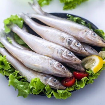 恺蒂鲜 海捕青岛沙丁鱼冷冻沙尖鱼沙钻鱼沙梭鱼薄冰衣 小号2斤约46条