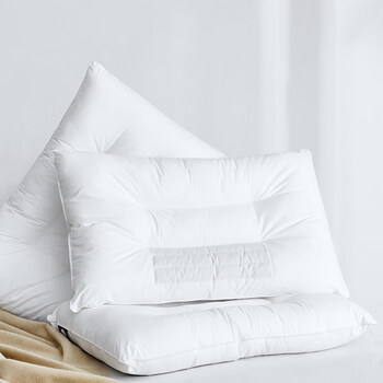 范博(fanksrebo) 拉芙菲尔枕头 决明子荞麦枕头防螨学生宿舍单人幕い