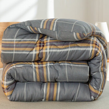 半夏微凉床品被子学生防棉冬被加厚保暖秋冬棉被双人单人棉被芯被褥