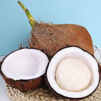 只为榴恋 海南牛奶椰宝4个装 去皮发芽老椰肉子椰青椰皇 新鲜水果