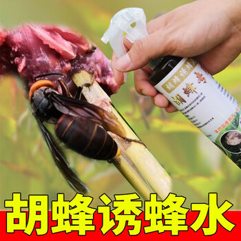 胡蜂诱蜂水马蜂诱蜂水金环红娘黑尾诱蜂水蜂水马蜂野外马蜂水 250ml