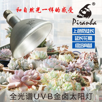 多肉植物补光灯全光谱uvb金卤灯生长灯仿太阳室内家用防徒上色灯50w 简易款 图片价格品牌报价 京东