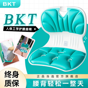 BKT 坐垫人体工学生教室椅子坐靠一体屁垫儿童预防近视生日礼物 端正坐姿 预妨近视