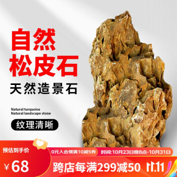 打造迷人水下世界的疯狂水草选择!