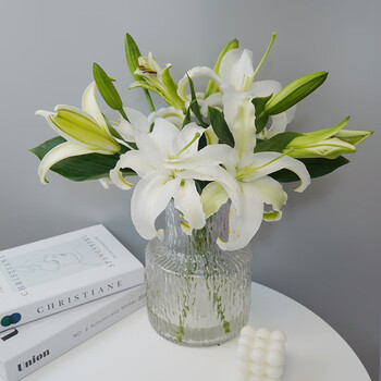 远方的花 鲜花白百合花 香水百合白色 白百合10个花苞