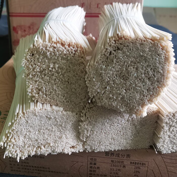 猪小耙甘肃特产三阳川挂面手工挂面3把手工挂面3把