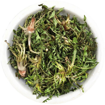 东北特产新鲜婆婆丁蒲公英春季山野菜蘸酱菜现挖现发1份 500g
