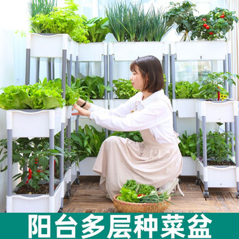 清宜坊zh 清宜坊阳台种菜箱种菜盆绿植蔬菜种植箱家庭楼顶花盆花箱多肉植物户外懒人种植盆三层自吸水懒人种植盆 白色 配滑轮 行情报价价格评测 京东