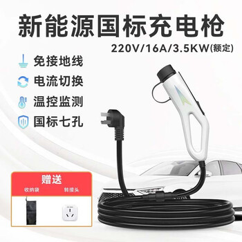 京家新能源充电枪电动汽车16A随车充便携式免接地线特斯拉比亚迪通用 通用国标16A充电枪+转换头 3米