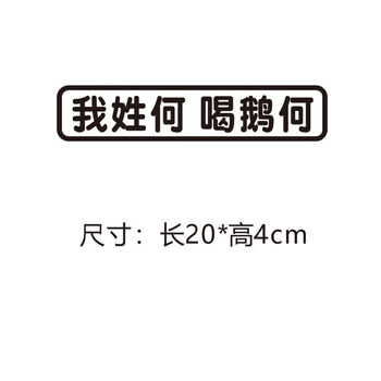 我姓谢洗衣液谢车贴车尾创意搞笑百家姓氏拼音文字贴纸抖音网红贴 我
