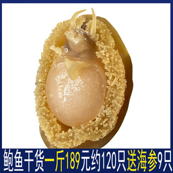 送海参鲍鱼干一斤500g佛跳墙原材料海鲜小鲍鱼礼盒装非即食鲜活七星鲍
