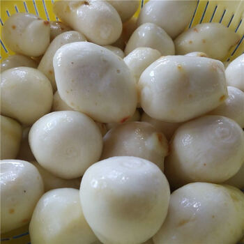 去皮真空保鲜现挖新鲜毛芋头农家自种小毛芋头新鲜蔬菜小芋头芋艿去皮