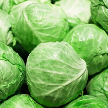 甘蓝菜新鲜包菜现摘卷心菜手撕生菜圆生菜农家自种绿色蔬菜包心菜精品