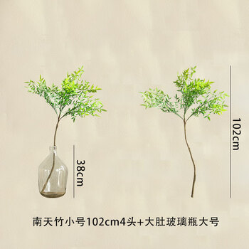 毒歩き回るバッグ南天花瓶エクスタシー放散するルビー