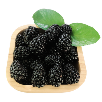 金都一号红心火龙果3斤5斤装新鲜水大果当季水果鲜果3斤大果