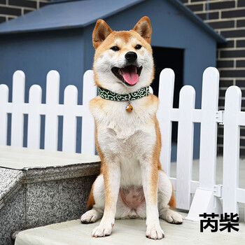 芮柴 唐草纹项圈 和风日式宠物狗狗猫咪项圈柴犬柯基泰迪中小型犬用脖套颈圈遛狗圈绿唐草项圈