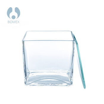 北玻博美bomex层析缸实验室双槽溶剂玻璃缸10010080mm多规格10080100