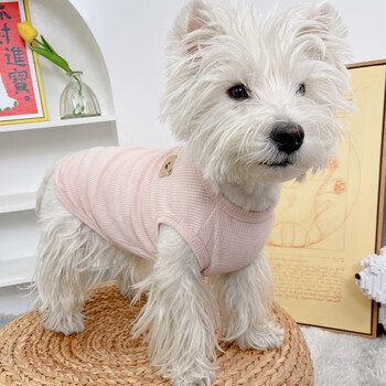 崇雾狗狗衣服春秋款猫咪夏季背心雪纳瑞薄款比熊小狗夏天宠物幼犬猫猫