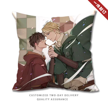 德哈同人周边抱枕德哈同人drarry周边同款抱枕被子哈利波特德拉科