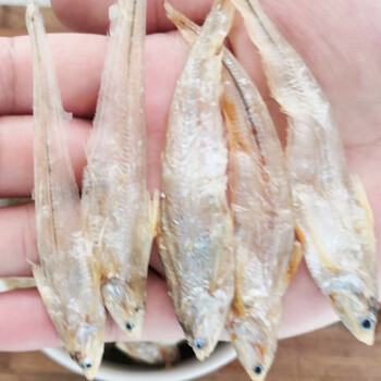 南美豹小毛鱼干货安庆宿松特产安徽毛刀鱼毛花鱼干刨花鱼淡水小干鱼