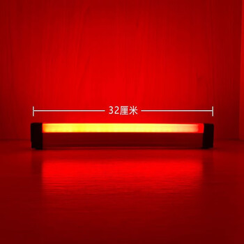 网红拍照led抖音卧室宿舍蓝光紫色灯管摆摊露营充电灯管 32厘米红光